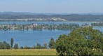 Reichenau