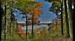 Tidioute Overlook