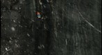Shear Zone in a Whiteout, Berkshire Mountains, Massachusetts