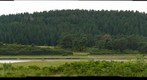 Hog Island from Crane Beach Dunes