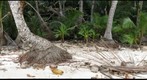 island near Boca Brava, Panama