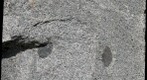 Mafic Inclusions in Granite, Mount Rainier National Park