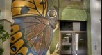 Entomology Door