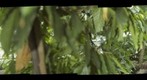 Wonderment of a Child - the Thrill of Discovery: Butterfly Wing of the Houston Museum of Natural Science - 1/4 - a 360 Panorama