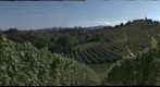Weinstrasse 01