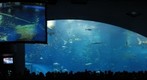 Churaumi Aquarium take2