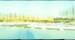 dimondhigh