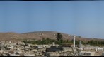 Delos Lions