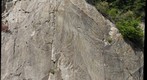 Plumose Structure
