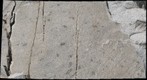 Another Granite with Mafic Inclusions, Mount Rainier National Park