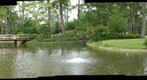 Hermann Park: Japanese Garden