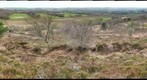 Thomas Hardy's Egdon Heath