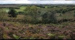Thomas Hardy's Egdpn Heath in September