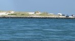 Island Beach State Park, NJ 3 of 3