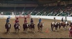 Horse Show Finalists, Minnesota State Fair