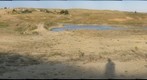 PC-09-PR-D1-GIGAPAN-turtle3