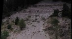 Hood River Lahar Deposits Roadcut