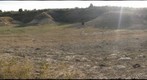PC-09-PR-D1-GIGAPAN-turtle2