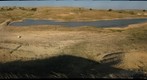 PC-09-PR-D1-GIGAPAN-turtle1