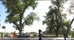 PC-09-PR-D1-GIGAPAN-bball7