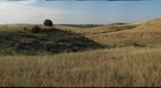PC-09-PR-D1-GIGAPAN-turtle8