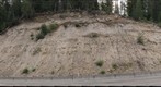 Roadcut in Mount Hood Lahar and Ashfall Deposits