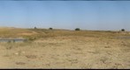 PC-09-PR-GIGAPAN-turtle9