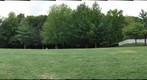 Laumeier Sculpture Park #2