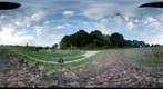 In the fields near Ottendorf, Schleswig-Holstein, Germany