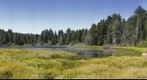 Bluff Lake Near Big Bear, California