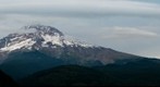 Mt Hood from Lolo Pass