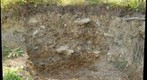 Andover soil profile #1