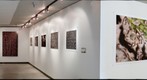 Thomas Payne Exhibit