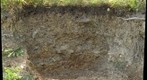 Andover soil profile #2