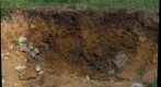 Hagerstown soil profile #1