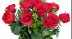 Valentine's Day roses