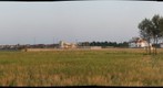 farm lands 
