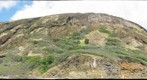 Road-cut-Koko-Crater-Oahu