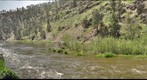 Beaver Lodge