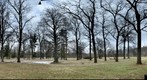 Non-Stop Antioch College; Graduation Mound 10 am