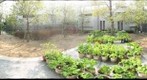 Ryotaro Shiba Memorial Museum take2