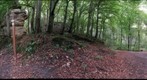 Geastrum triplex (360°) 