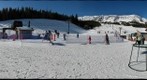 Snowflake Run at Bridger Bowl, Bozeman, MT