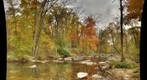   Pennypack Creek