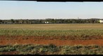 Kalgoorlie - Boulder 2