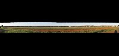 33021-400x189