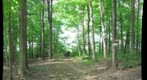 University of Guelph - Dairy Bush - BIOL*4110 Students