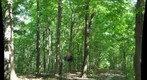 University of Guelph - Dairy Bush - BIOL*4110 Students - 2