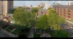 Megan's View #1