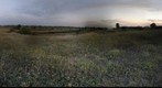 "Skalki" k. Buska-Zdroju